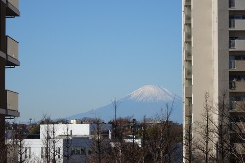 DSC00432