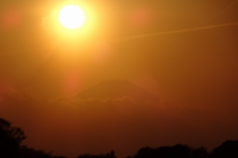 DSC01240
