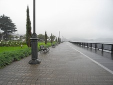 c40a285a.jpg