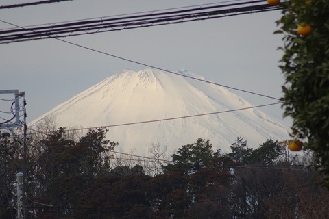 DSC08630