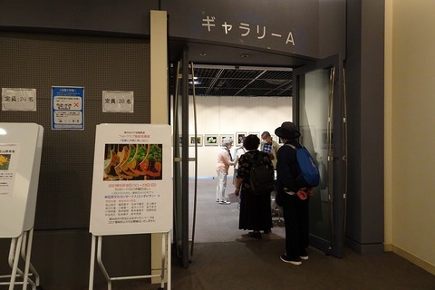 DSC03673