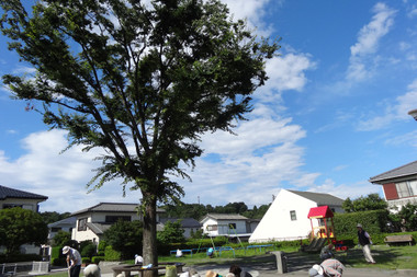 c570f631.jpg