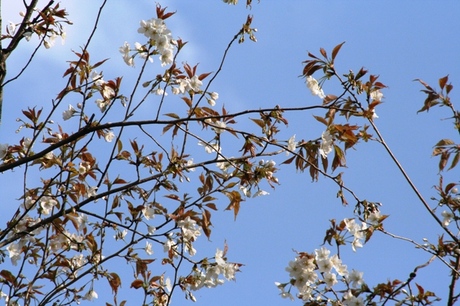 c6280389.jpg