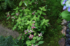 c75f72dc.jpg