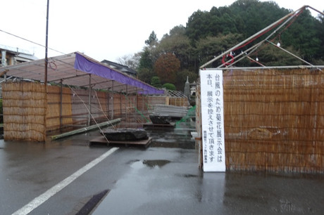c84536ec.jpg