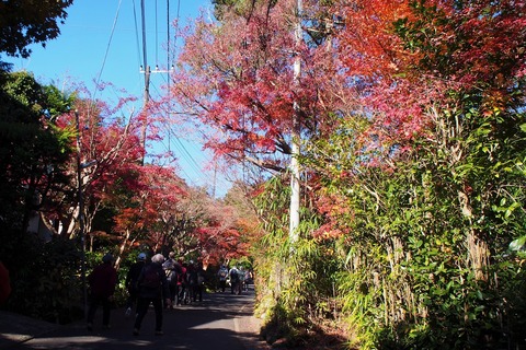 PC130005 (2)