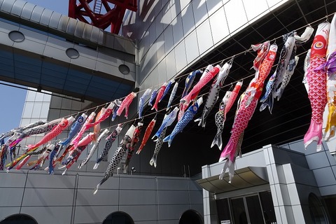 s-DSC08198