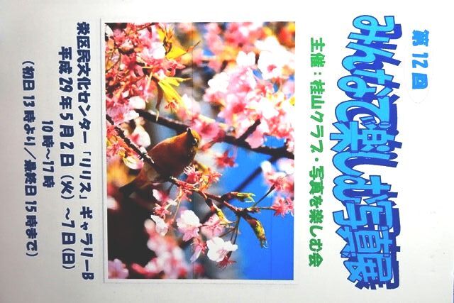Adsc08074