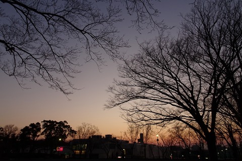 DSC09916