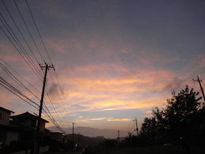 ccae9266.jpg