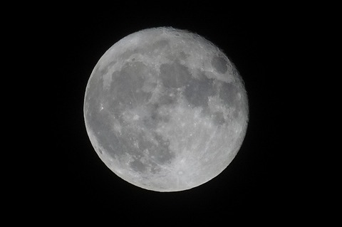 s-t_DSC04407