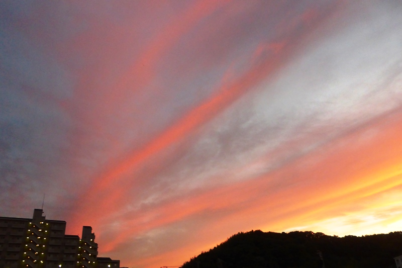 d27253f7.jpg