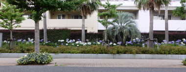 d36040f3.jpg