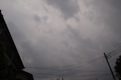 d5653221.jpg