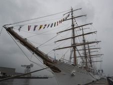 d7441752.jpg