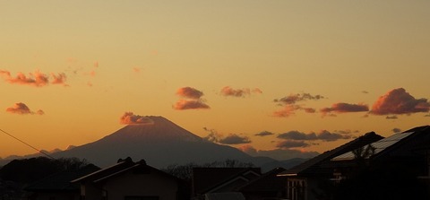 DSC01074_t