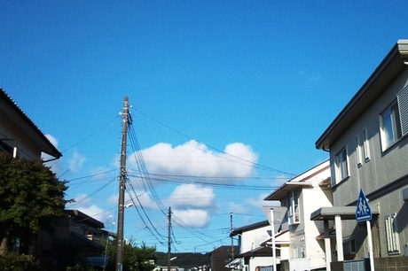 e144d601.jpg