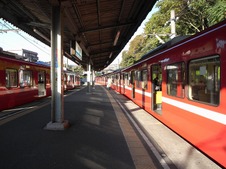 e1736856.jpg