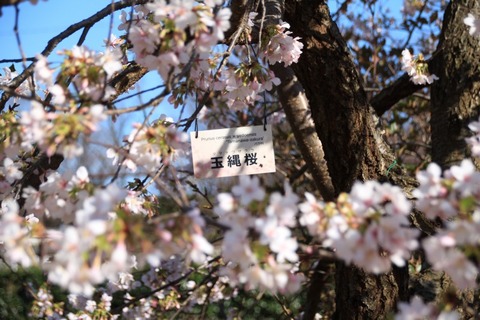 aIMG_8966