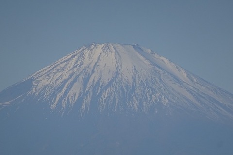 t_DSC01095