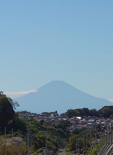 241443713_1987434188080332_2200098927860680010_n