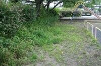 Img_1970s800