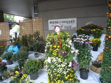 ef4d90de.jpg