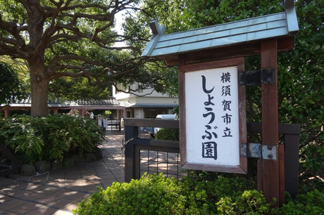 f03d3497.jpg