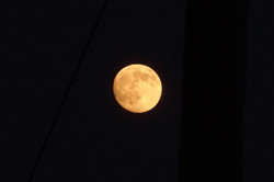 f070a93b.jpg