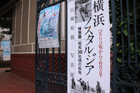f17383d1.jpg