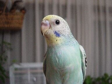 Sdsc07642_1 Sdsc07642_1