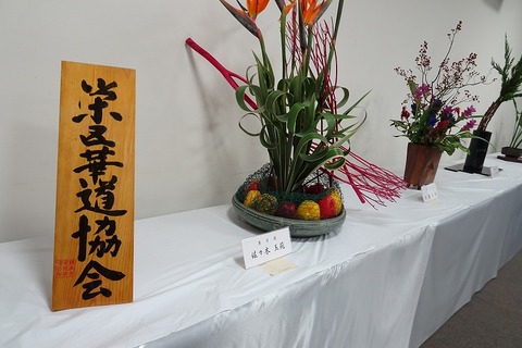 aDSC05190