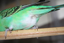 f5795231.jpg