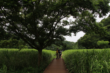 f718a2a6.jpg