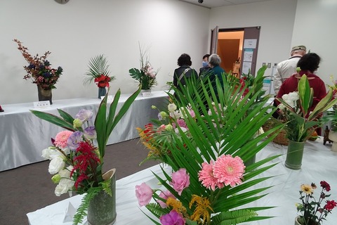 aDSC05188