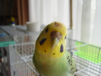 fa62c0e3.jpg