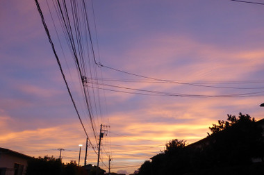 fc0f01c4.jpg