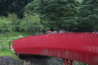 fec6ef40.jpg
