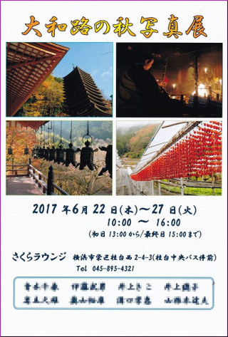 ff519818.jpg