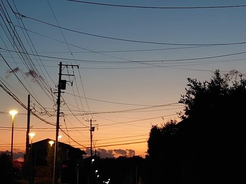 DSC_4407 (2)