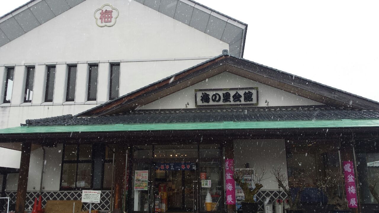 若狭に梅と鯖を求めて あったか気功のblog 若狭に梅と鯖を求めて あったか気功のblog