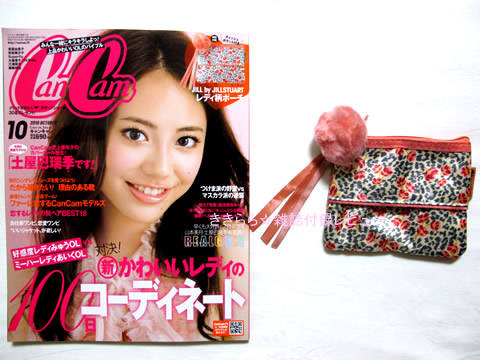 Jill By Jillstuart ジルバイジルスチュアート レディ柄ポーチ Cancam キャンキャン 10年 10月号 ブランドコラボ付録の詳細画像