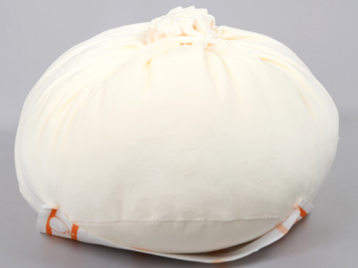 新宿中村屋公認 ふわふわ肉まんBIGクッションBOOK