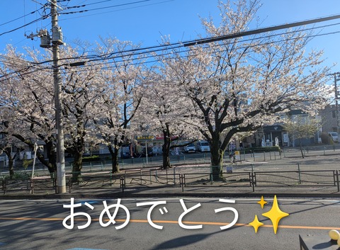 PXL_20260402_072446387~2