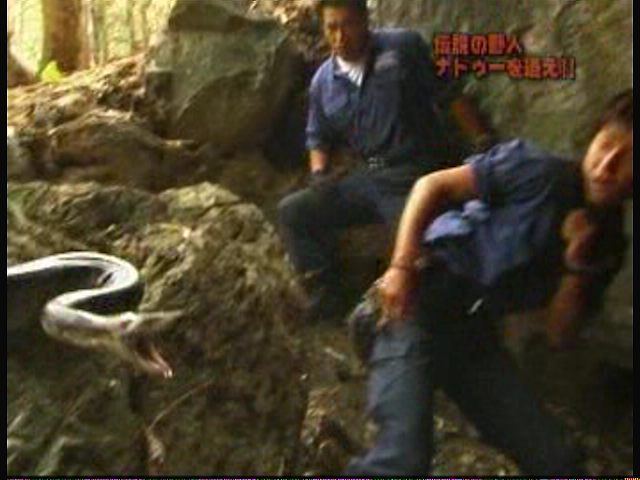 選択として正しいのは藤岡弘 探検隊 かつをぶしむしすしだね日記 選択として正しいのは藤岡弘 探検隊 かつをぶしむしすしだね日記