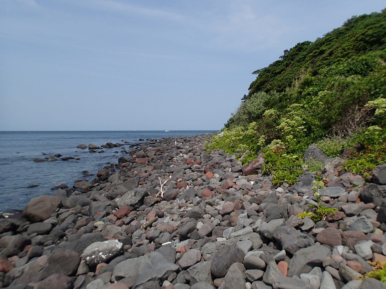 5月27日 東伊豆釣行 川奈 三の原 週末アングラーの備忘録 5月27日 東伊豆釣行 川奈 三の原 週末アングラーの備忘録