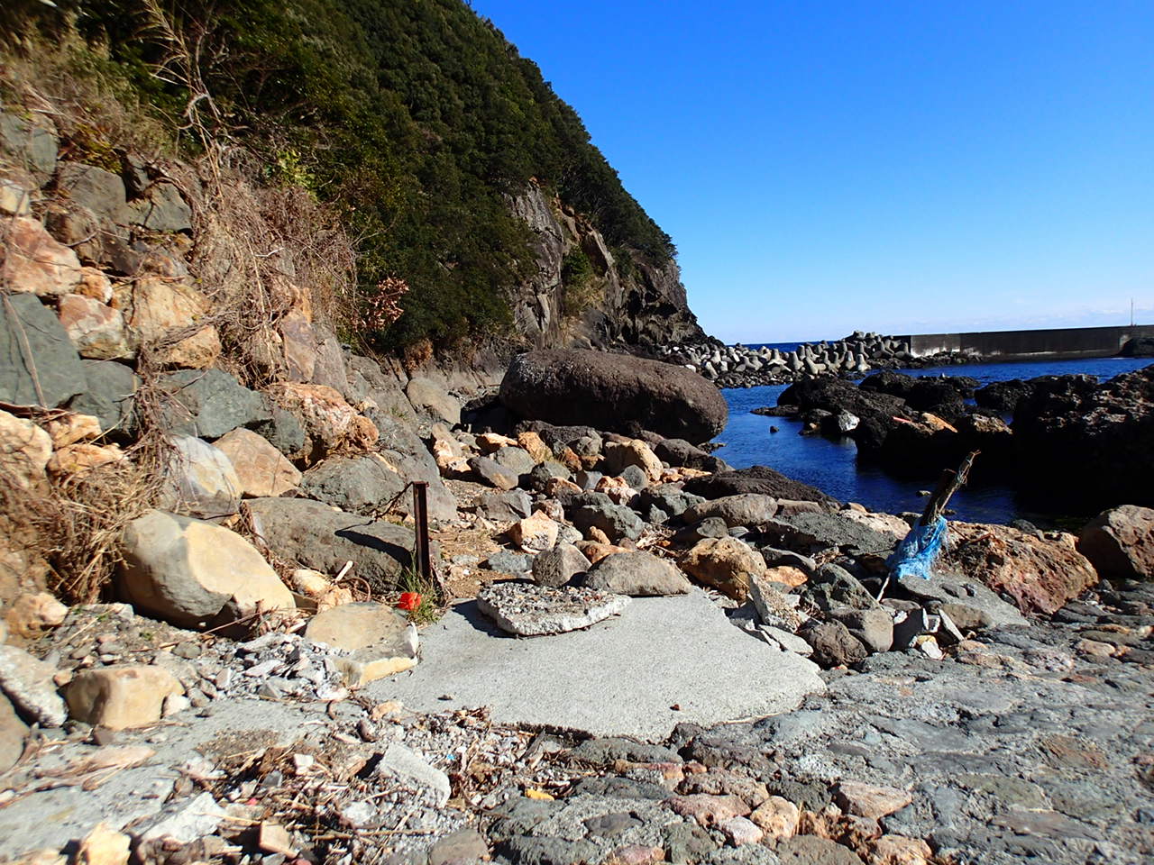 1月14日 東伊豆釣行 ヤンザ 週末アングラーの備忘録 1月14日 東伊豆釣行 ヤンザ 週末アングラーの備忘録