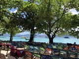 IMG_4361