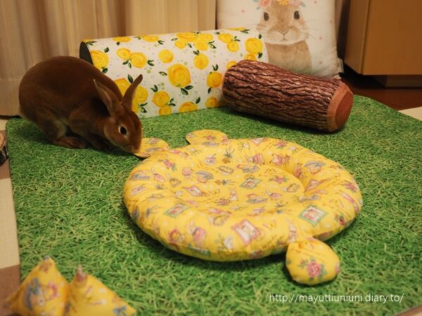 ミニレッキスのうにです ココヤムクッション ミニレッキスのうにです ココヤムクッション