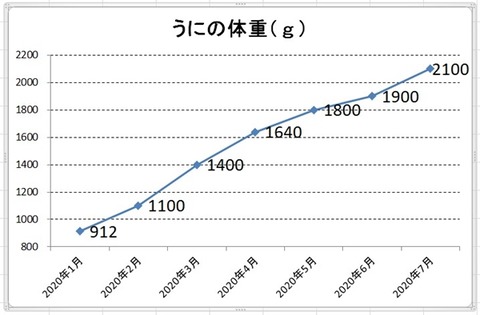 コメント 2020-07-13 142601-20200713